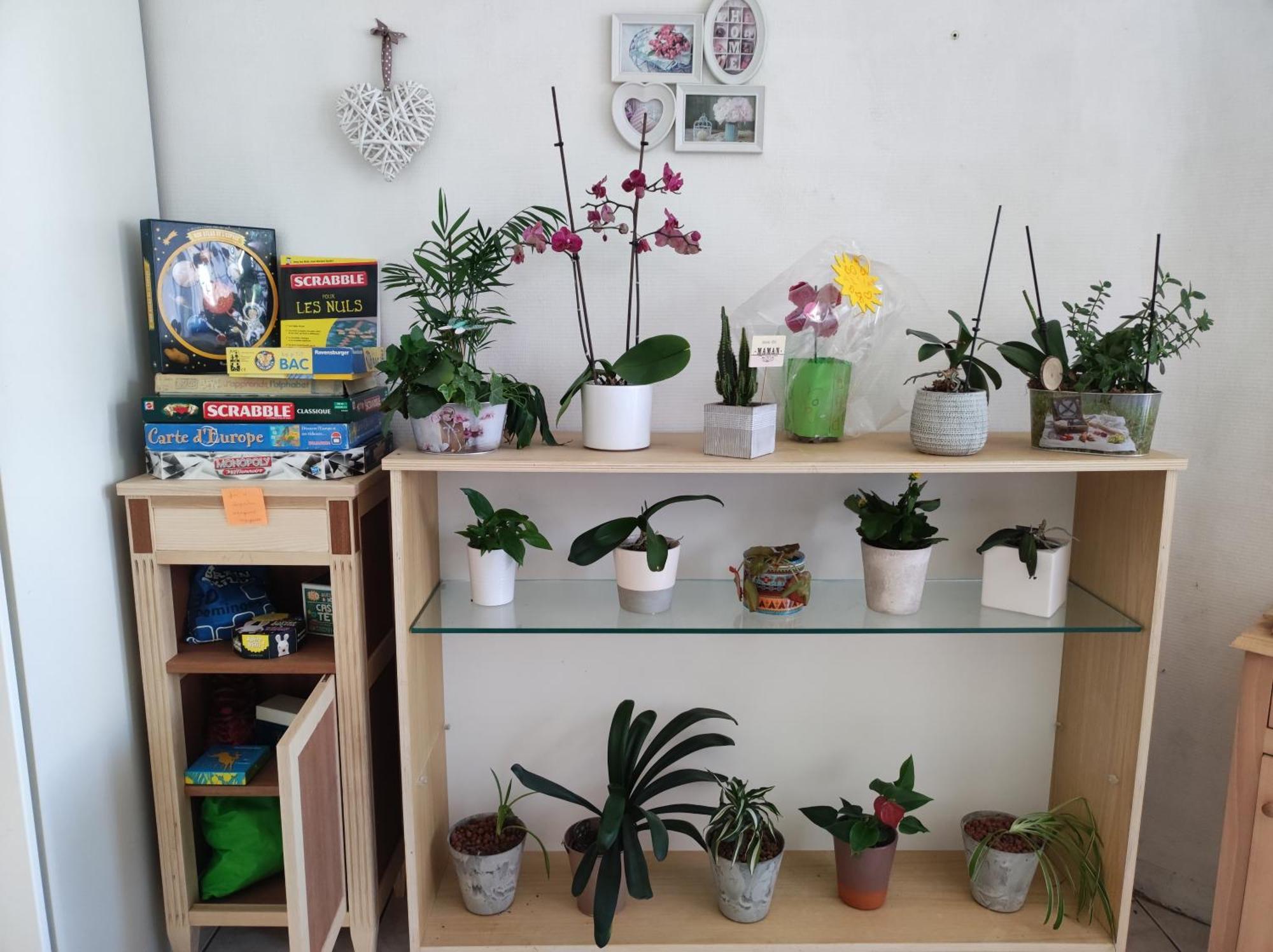 Chambre Chez L'Habitant "Cactus" Une, Deux Ou Trois Personnes Derval Εξωτερικό φωτογραφία